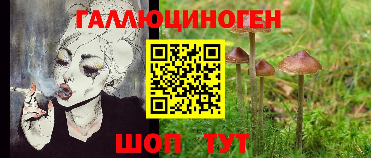 Псилоцибиновые грибы ЛСД Знаменск