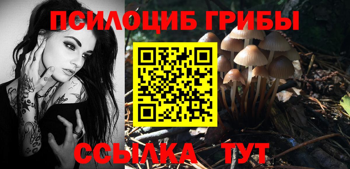 Знаменск  Галлюциногенные грибы прущие грибы  Вход с VPN  Псилоцибиновые грибы Cubensis 